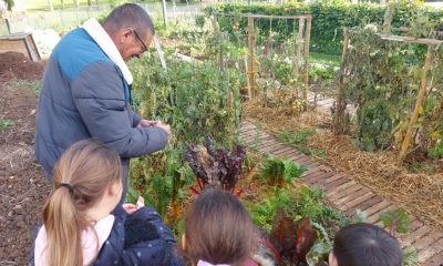Portes ouvertes au jardin partagé des Béguines à Lucé